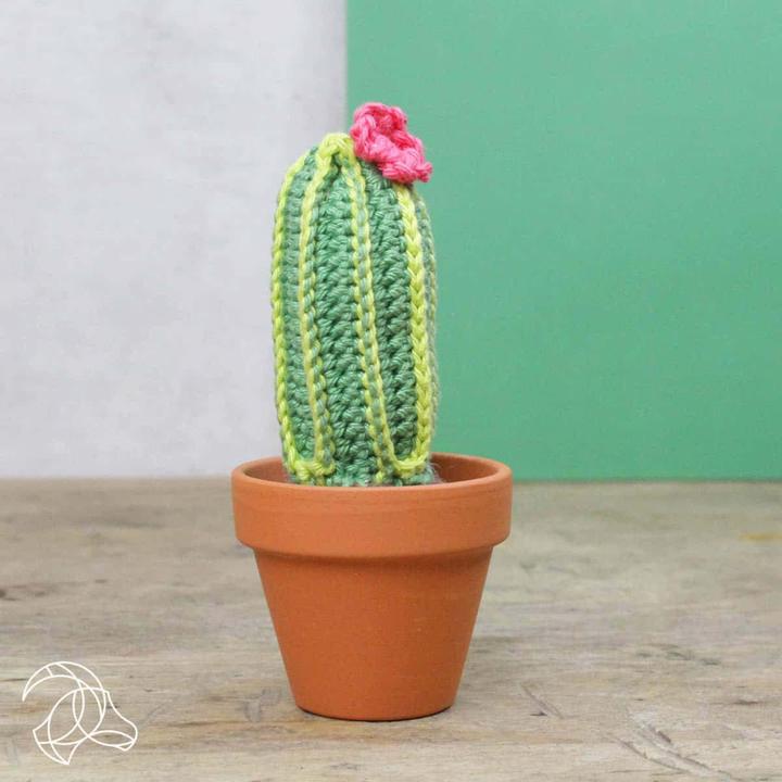 Immagine prodotto Hardicraft Cactus - Set per uncinetto