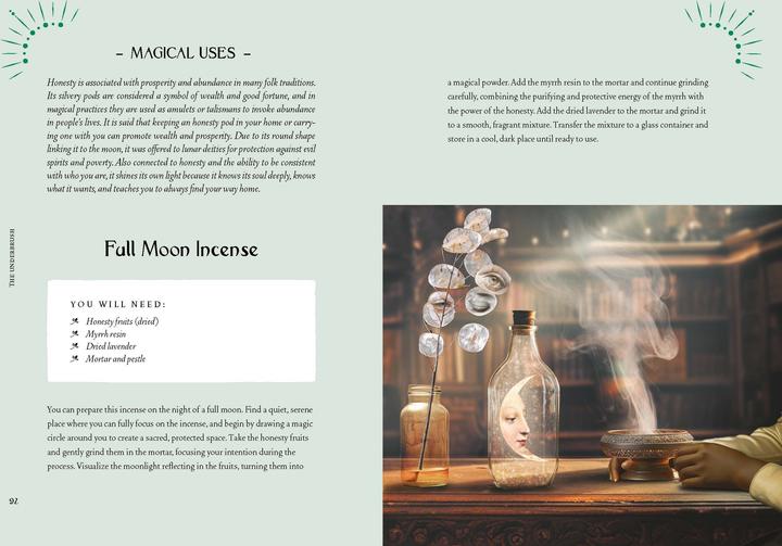 Produktbild Lattari:Kräuterkraft & Hexenmacht (Deutsch, Cecilia Lattari, 2024)