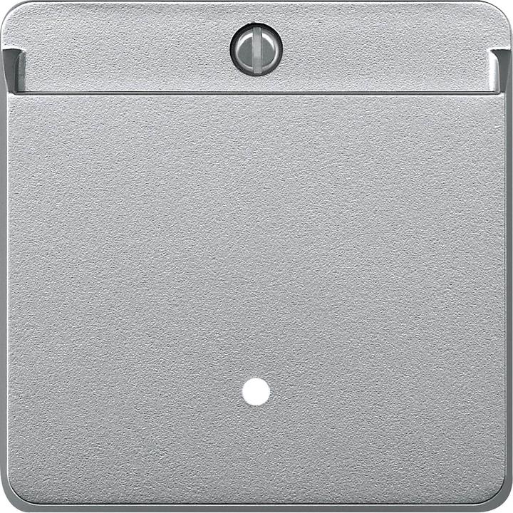 Aluminium