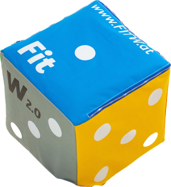 Immagine prodotto FitW Fitness Cube 2.0