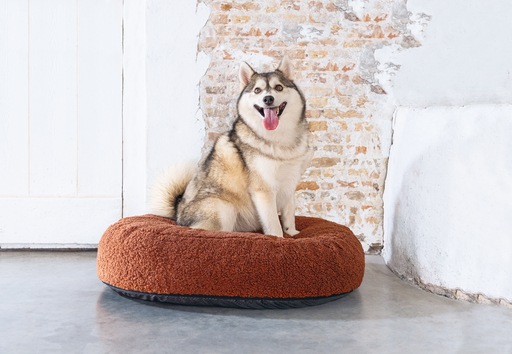 Productafbeelding Designed by Lotte Geribbeld (Hond)