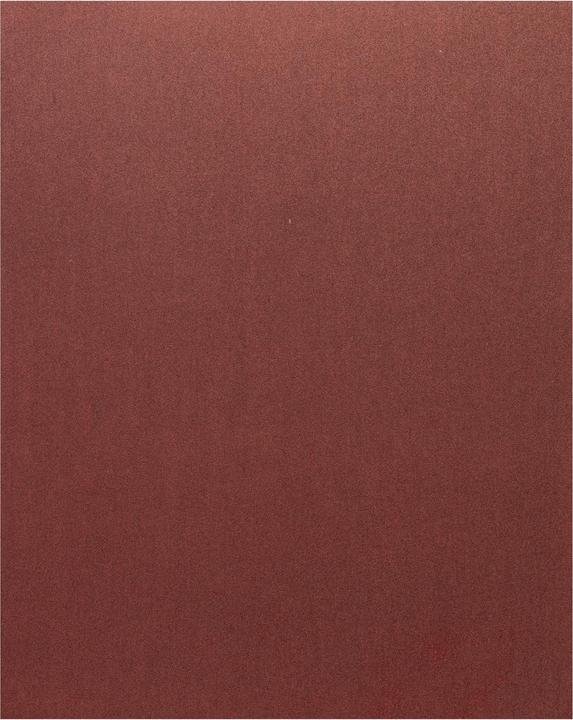 Immagine prodotto Bosch Professional Zubehör Foglio di carta abrasiva C420 Standard per legno e vernice. 230 x 280 mm. 240 (240)