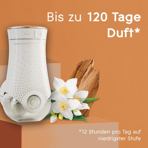 Actual product image Glade Fragrance plug refill Sandalwood and Jasmine
