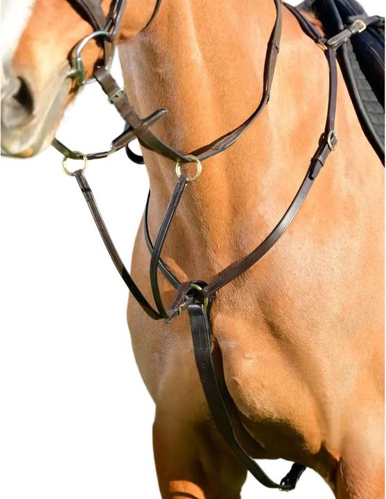 Kincade - Plastron avec martingale de course CLASSIC