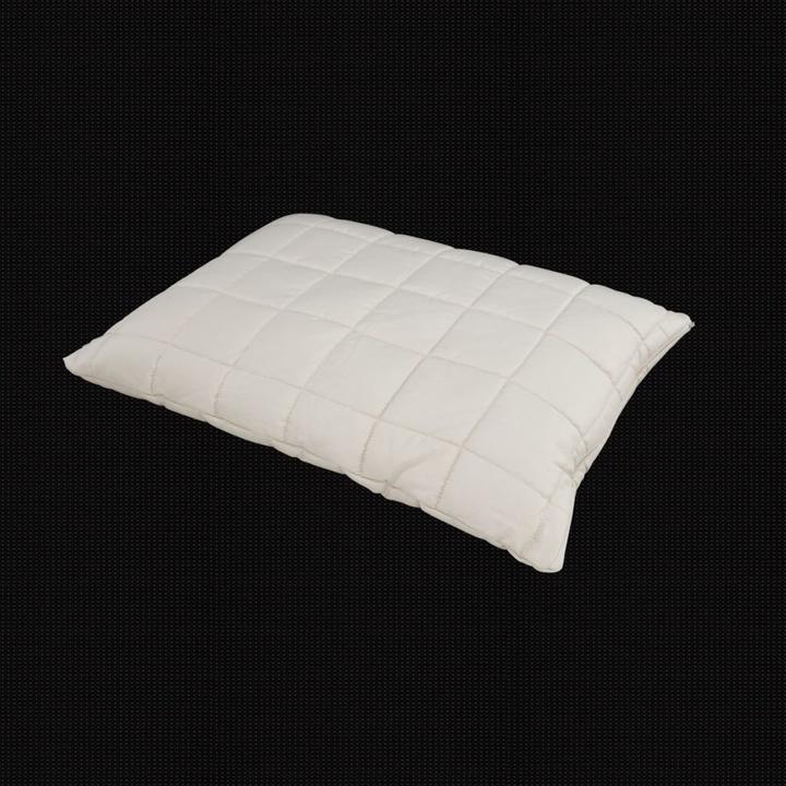 Actual product image Albis Classic Pillow Cannatur-Bio 65 x 100 cm (65 x 100 cm)