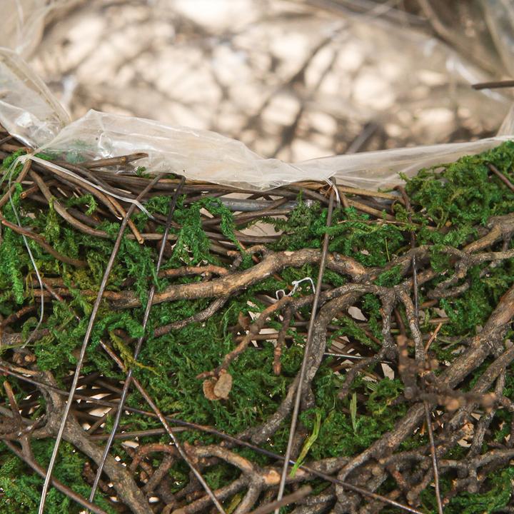 Actual product image Viana Runde Pflanzschale Moos und Reben (7 cm)