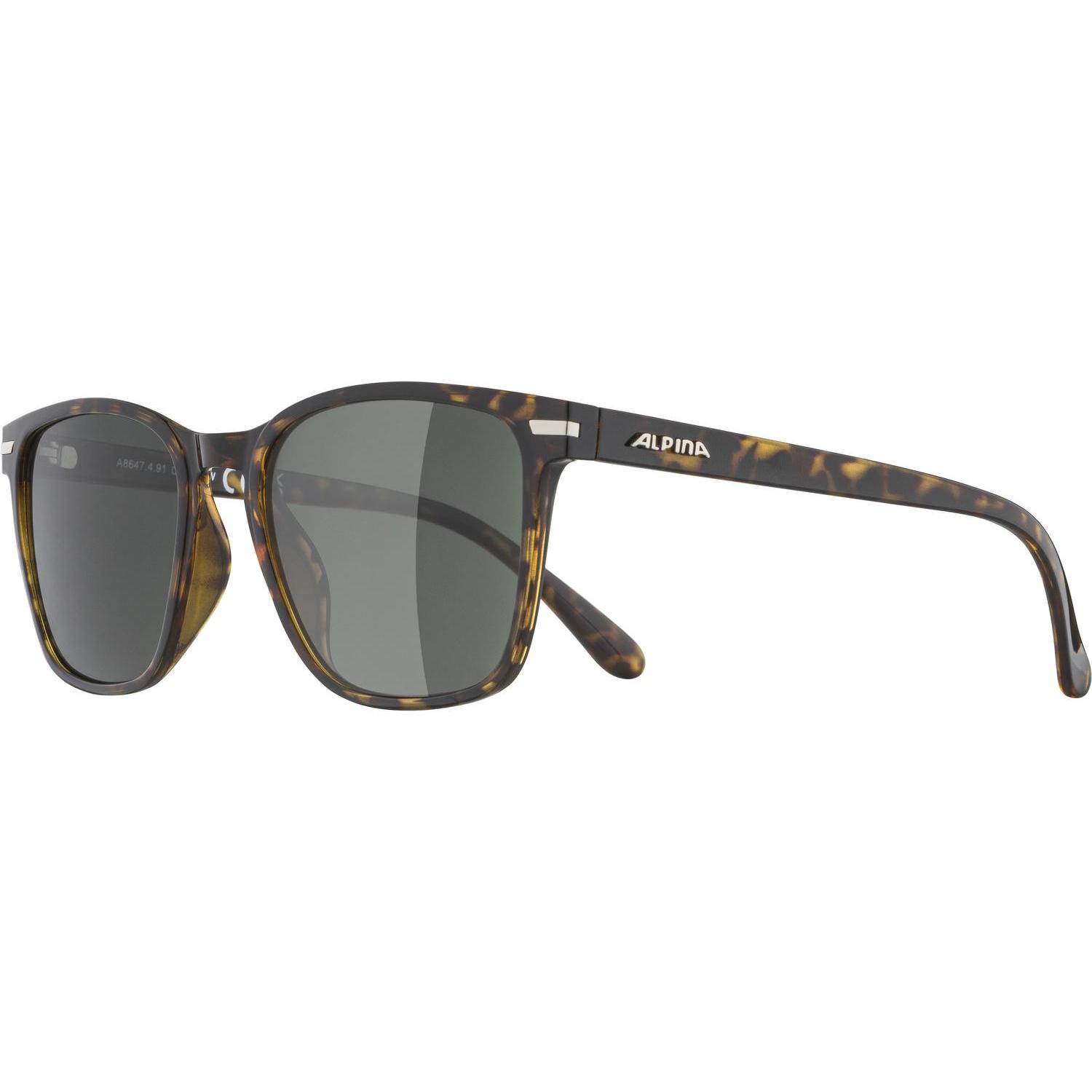 ALPINA SPORTS, Unisex, Sonnenbrille, Yefe