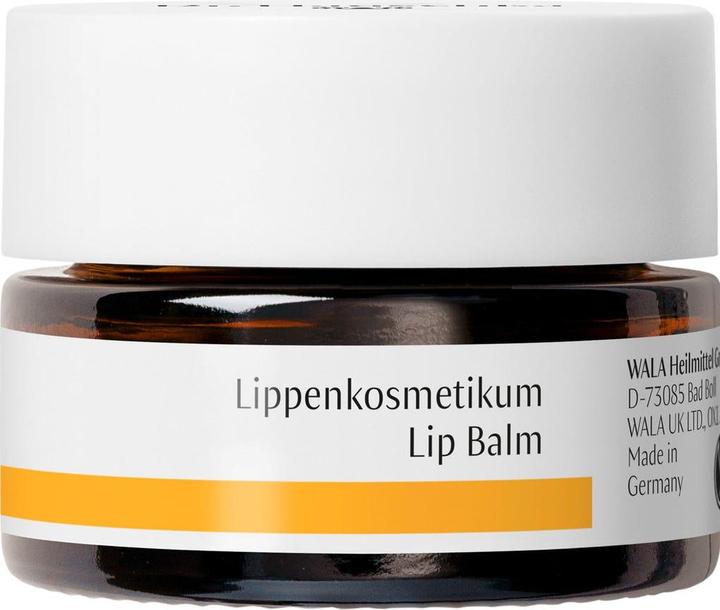Produktbild Dr. Hauschka Lippenkosmetikum (Lippenbalsam, 4.50 ml)