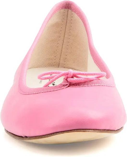 Image du produit Repetto Cendrillon (37)