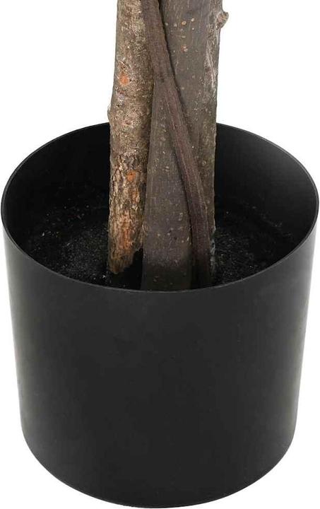 Produktbild vidaXL Ficusbaum (200 cm)