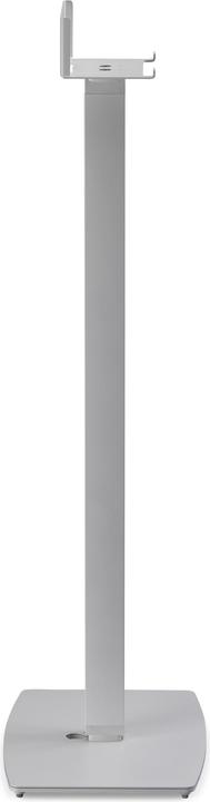 Actual product image SoundXtra Bose SoundTouch 10 (1 pcs., Stand)