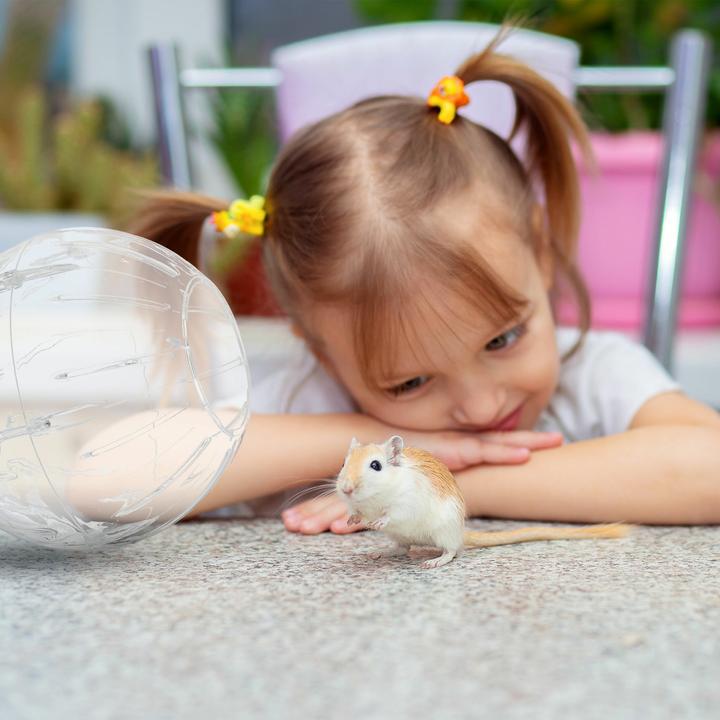 Image du produit Relaxdays 4x verre à boire (0.50 l, 4x)