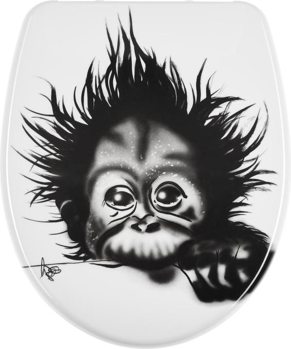 Diaqua Monkey
