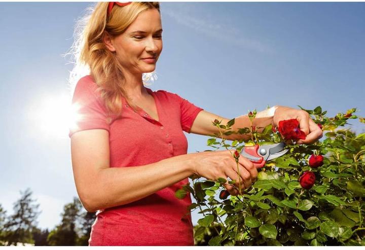 Image du produit Wolf-Garten Rr 4000