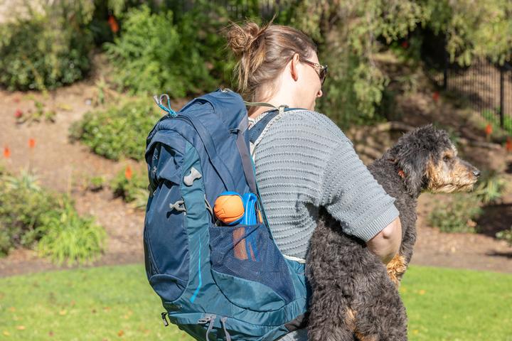 Produktbild Chuckit! CHUCKIT Hent og fold mini 18M launcher (Hund, Hundesport)