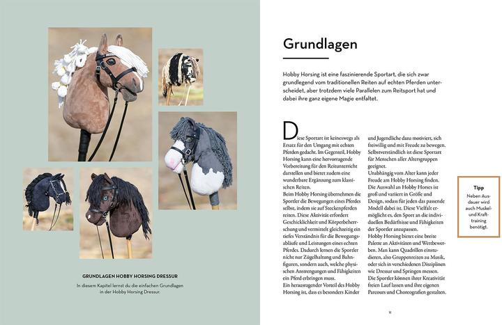 Produktbild Kosmos Hobby Horsing Dressurtraining (Deutsch, Andreas Karasek, 2025)