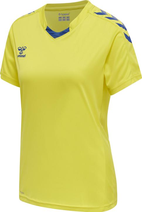 blazingyellowtrueblue