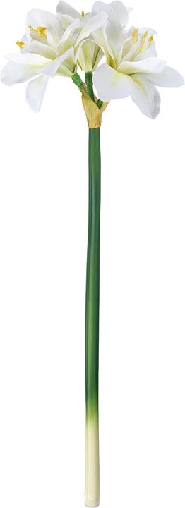 Produktbild EGLO LIVING Molave (63 cm)
