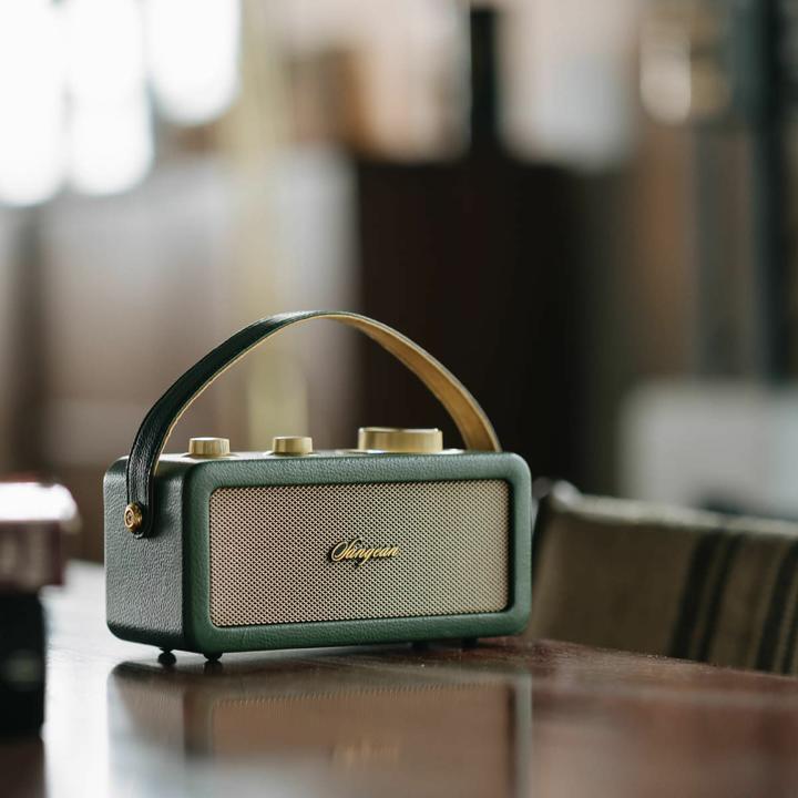 Image du produit Sangean RA-101 Radio à piles FM Bluetooth®, AUX rechargeable Vert, Or (FM, Bluetooth)