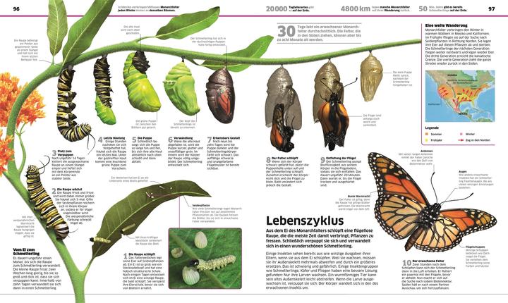 Image du produit DK Wissen (Allemand, Stephan Matthiesen, 2024)