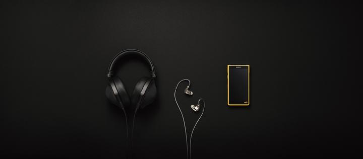 Image du produit Sony NW-WM1ZM2 (256 Go)