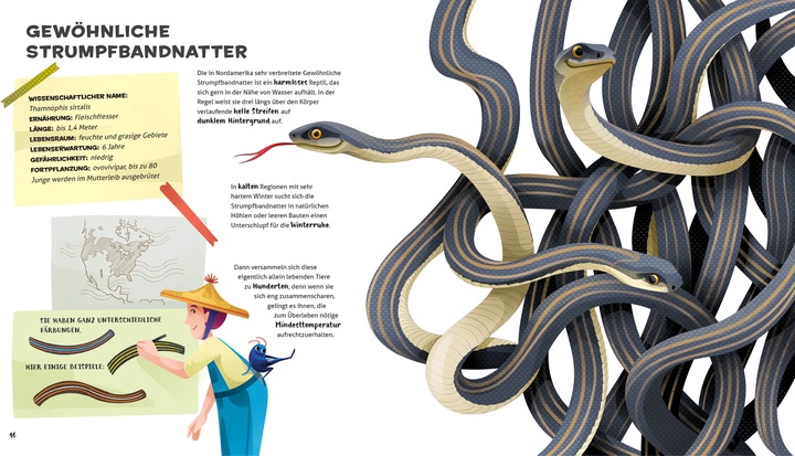Produktbild National Geographic Besonders und wunderbar: Reptilien (Deutsch, Cristina Banfi, Claudia Theis-Passaro, 2021)