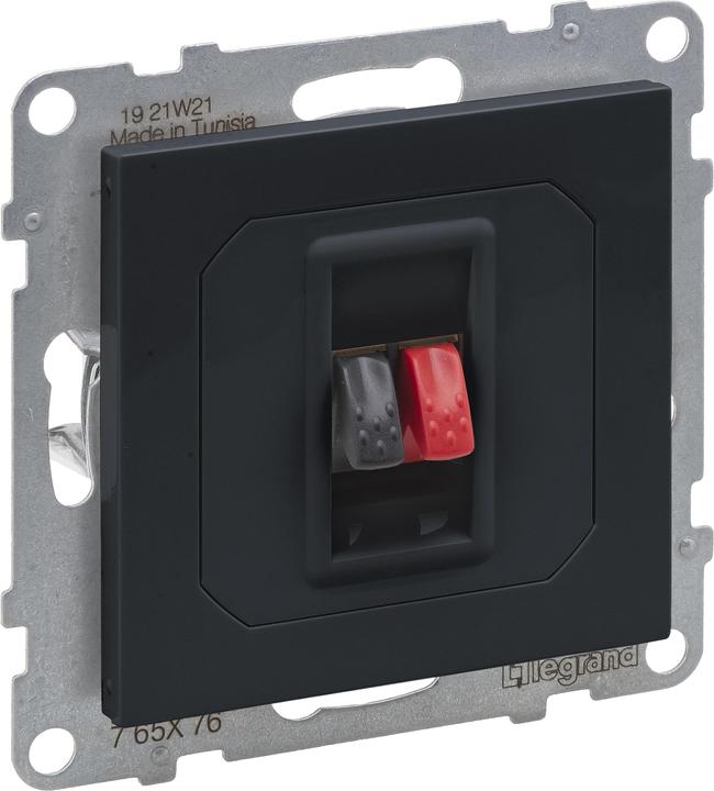 Image du produit Legrand SEANO connecteur haut-parleur simple avec bornes à ressort (rouge/noir) simple, anthracite, 765476