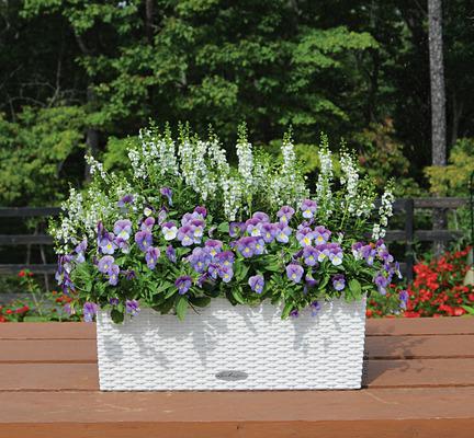 Actual product image Lechuza Flowerpot Balconera Cottage 50 (50 x 19 x 19 cm)