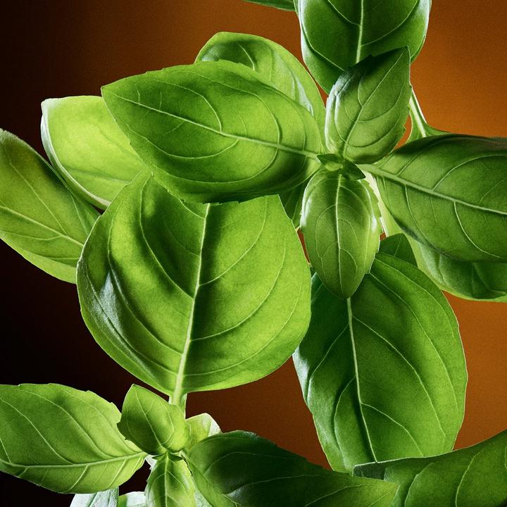 Produktbild Dolce & Gabbana The One For Men (Eau de Toilette, 100 ml)