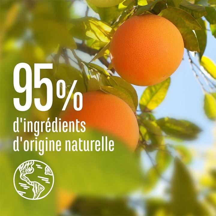 Produktbild Le Petit Marseillais Grapefruit & Jasmin Spülung (200 ml)