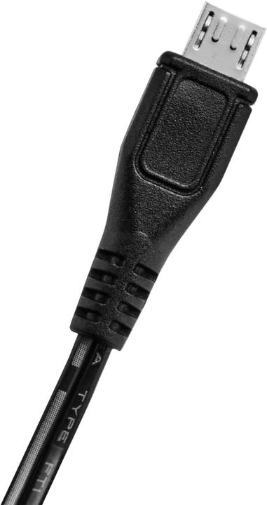 Produktbild WMF Ambient Sekt-/ Weinkühler (415400011)