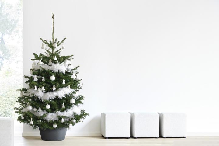 Image du produit Ecopots Stand de l'arbre de Noël