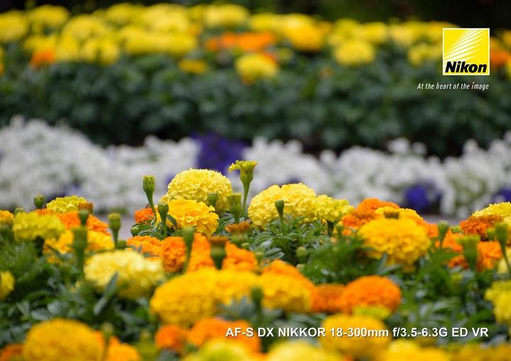 Produktbild Nikon AF-S Nikkor 18-300mm f/3.5-6.3G ED DX VR (Nikon F, APS-C / DX)