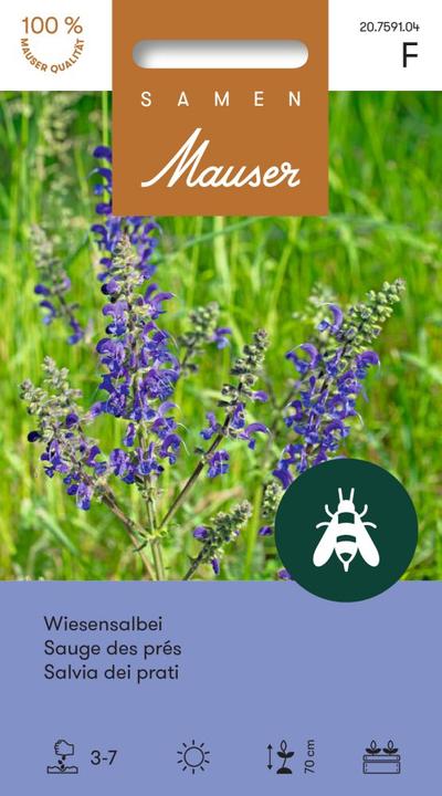 Samen Mauser Meadow Sage (Lawn reseed)