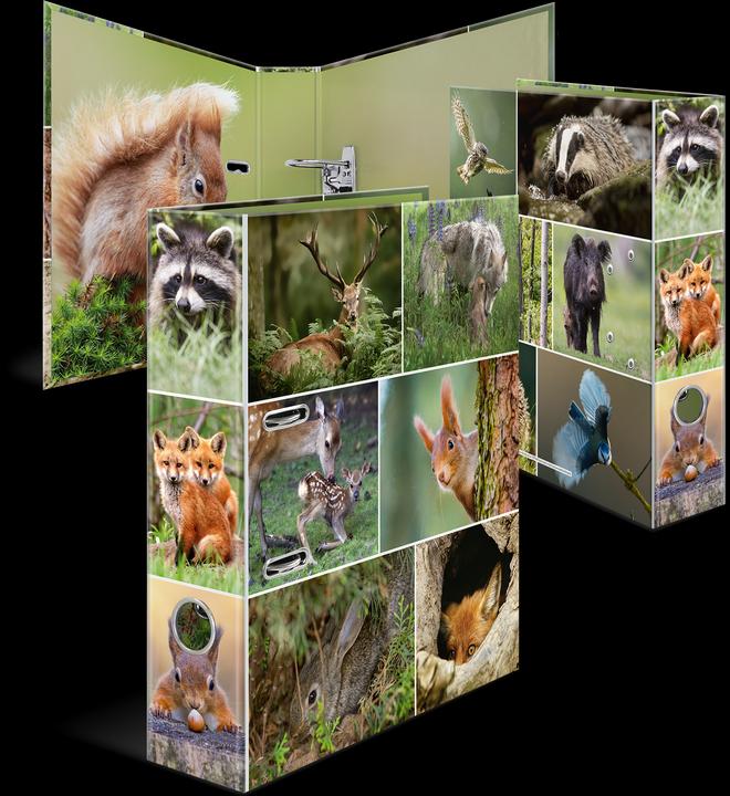 Actual product image HERMA A4 folder motif (A4, 70 mm, 1 Piece)