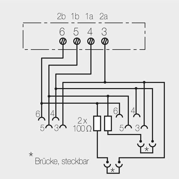 Actual product image Rutenbeck IAE/UAE 2x8 (4) TRS Up rw