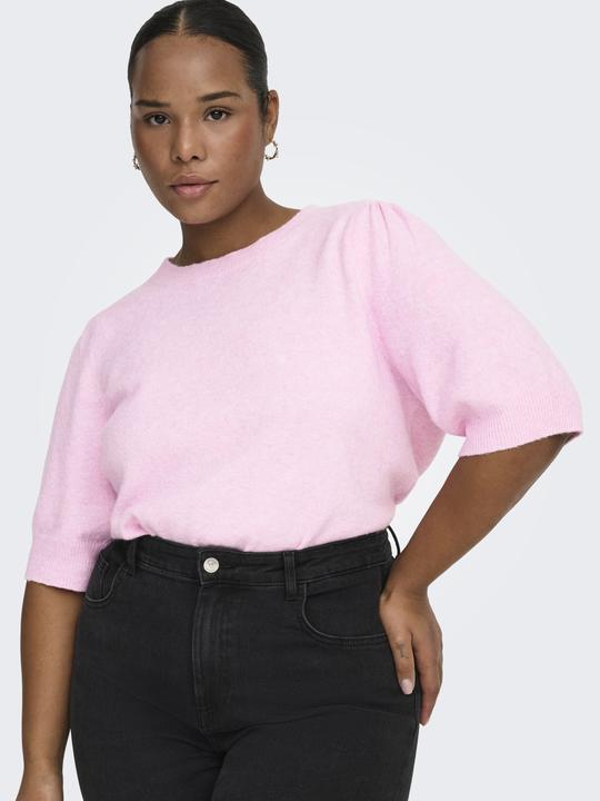 Actual product image Only CARRICA Strickpullover Strickpullover (L)