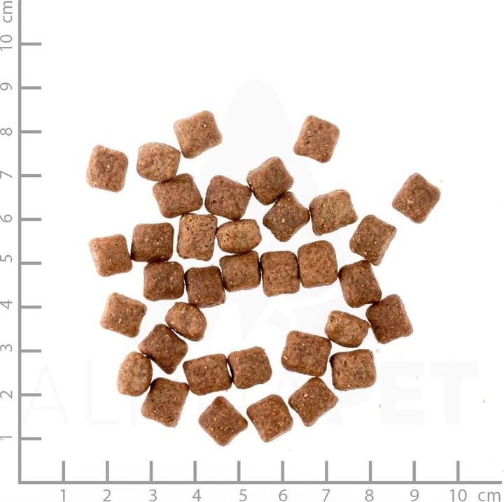 Immagine prodotto Wolfsblut Cucciolo di anatra selvatica (Junior, Cucciolo + gattino, 1 pz., 2000 g)