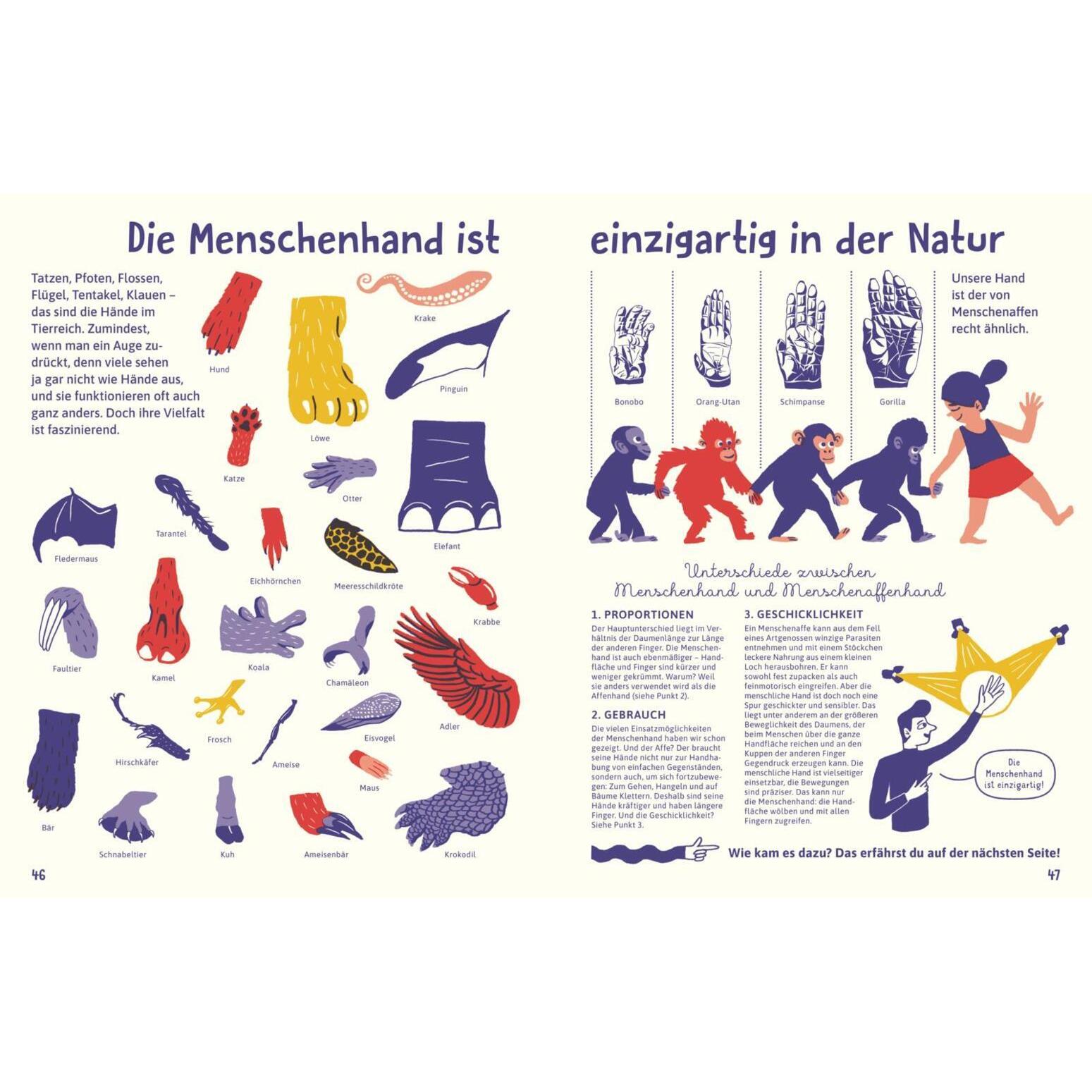 Thumbnail - Garguláková:Alles über die Hand, Kinderbücher von Magda Garguláková, Lena Dorn, Vítězslav Mecner