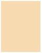 Actual product image Shiseido Synchro Skin Self Refreshing Fond de Teint No 120 (120 ivory)