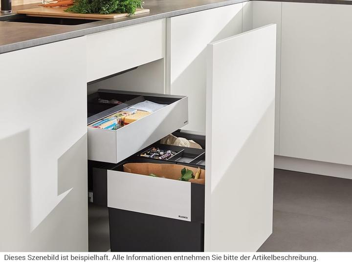 Actual product image Blanco Select II 60/3 Orga (45 l)