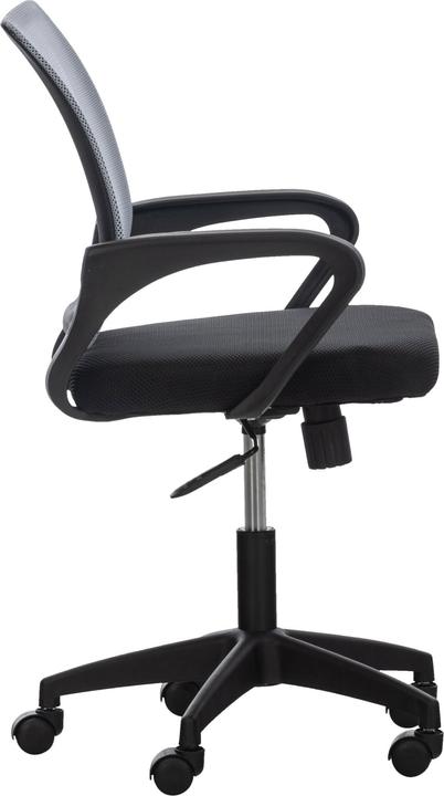 Immagine prodotto CLP Auburn