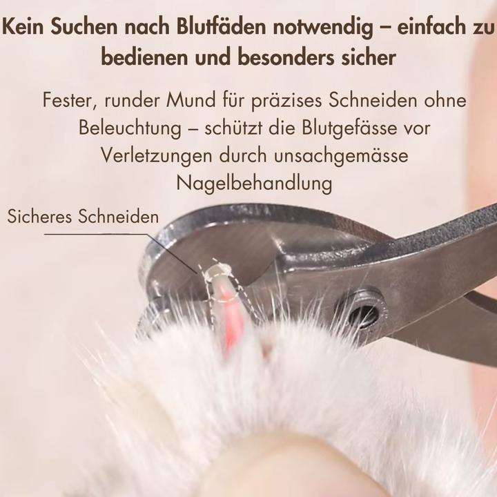 Immagine prodotto Suba Katzen Schere für Anfänger (Cane, Gatto)