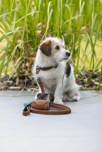 Actual product image Beeztees Bz Balacron Barf Bag Dispenser O (Dog)