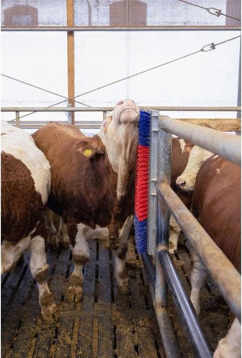 Actual product image Kerbl Scratch (90 cm)