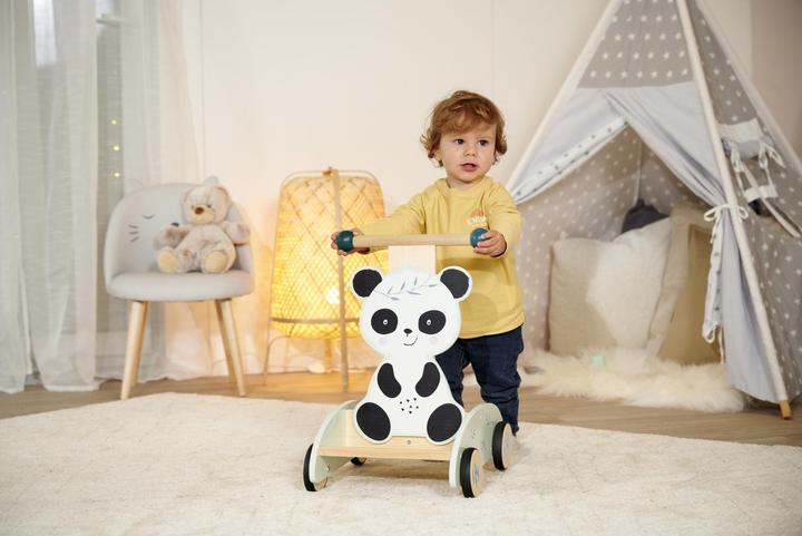 Produktbild Eichhorn EH Schiebe-Lauflernwagen