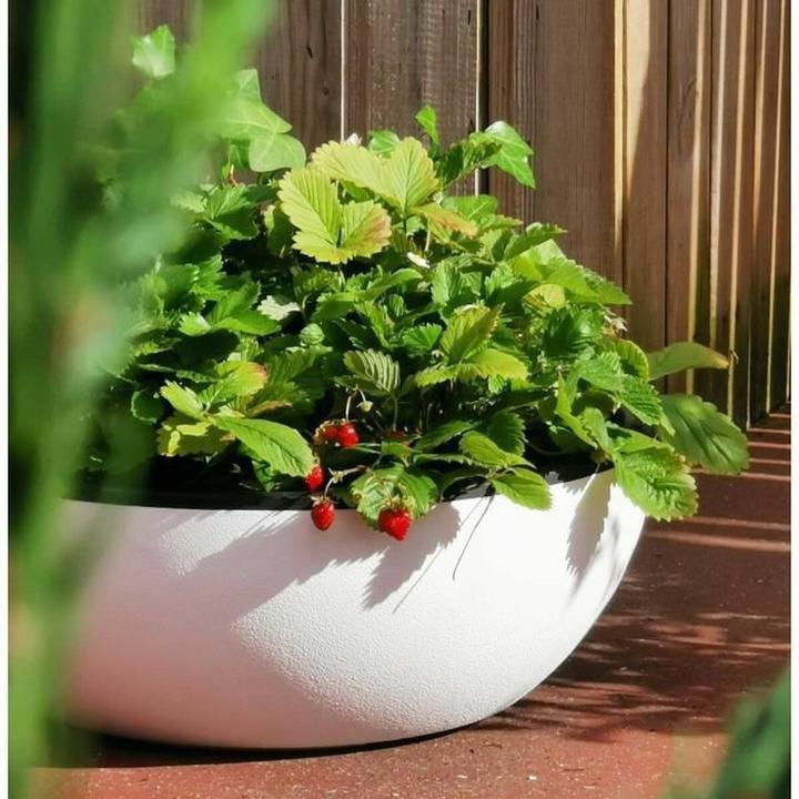 Image du produit Riviera Pot de fleurs Blanc Ø 40 cm