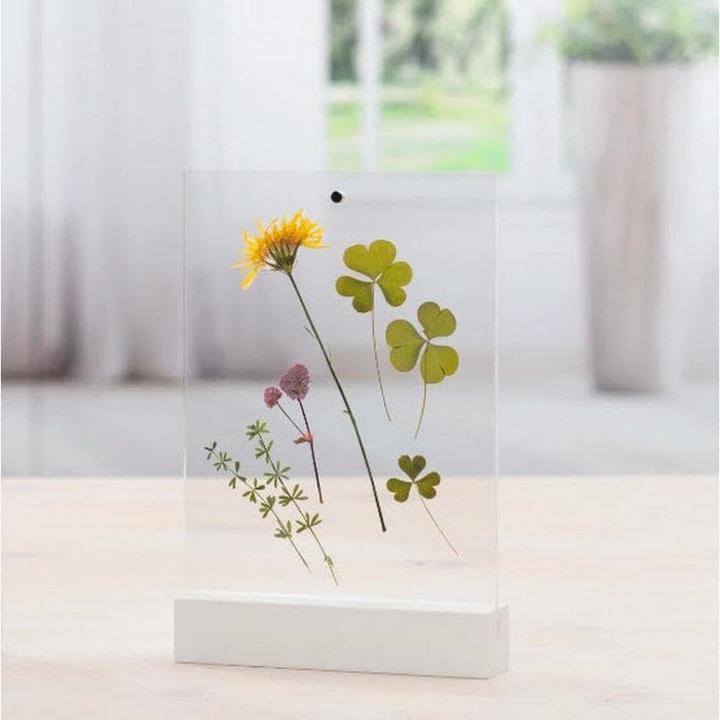 Actual product image Hama Classic (10 x 15 cm)