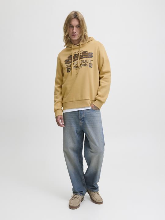 Produktbild Jack & Jones JJELOGO SWEAT HOOD 2 COL 25/26 NOOS (M)