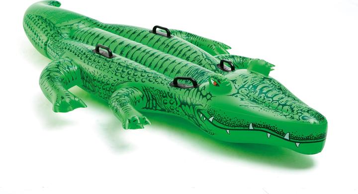 Produktbild Intex Giant Gator
